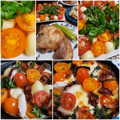 みんなの投稿の画像