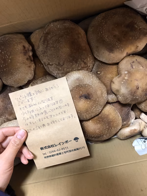 みんなの投稿の画像