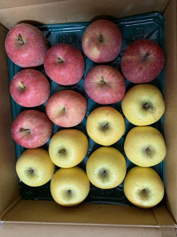 CA貯蔵ふじ・シナノゴールド32玉入り！サビ・小傷あり