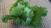 一瞬一旬レタスばっかりセット