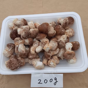 アヒージョが美味しい‼プリプリ食感の芽欠き椎茸(菌床)3月8日迄