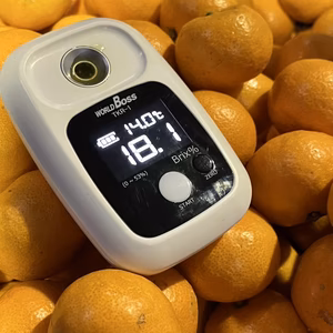 小玉 希少 有田みかん 数量限定 驚異の糖度16以上 甘すぎ注意   小粒　ss