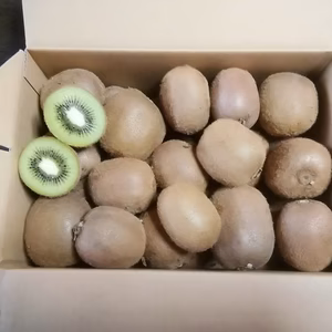 和歌山県産　ヘイワード