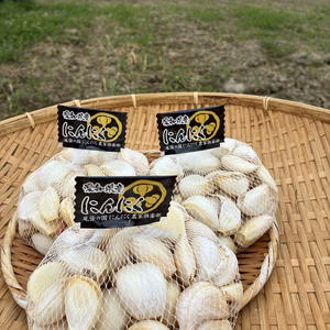 食品ロス品! ガツンとくるにんにく　バラ品　300g × 4