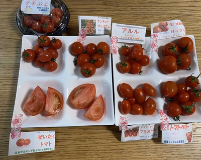 みんなの投稿の画像