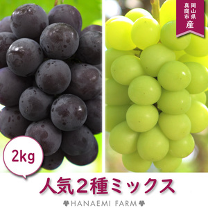 2M-2 花笑み農園　岡山の『ピオーネ・シャインマスカット』約2kg　9月中旬～