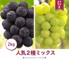 2M-2 花笑み農園　岡山の『ピオーネ・シャインマスカット』約2kg　9月中旬～
