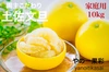 やの一果彩の園主こだわり土佐文旦【家庭用10kg】(大玉17玉～24玉）訳あり 
