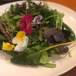 玄関までお届け！ 新鮮‼️✨朝採り✨サラダセット‼️