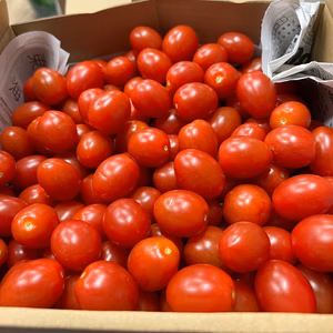 訳あり　アイコ2kg箱(A品)ヘタ落ち、傷あり。美味しい＋満足‼︎おすすめアイコ