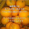 早生八朔　 木成り早生八朔　和歌山県有田産 見た目訳あり品 サイズ2Sから2L