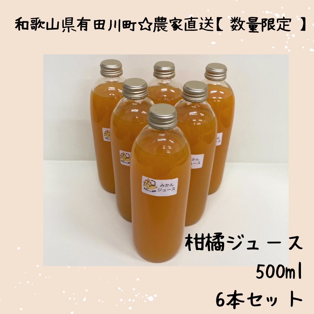 濃厚美味・濃縮還元してないデコタンジュース500ｍｌ×12本（デコポン