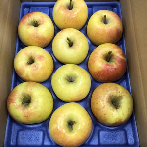 飛騨りんご（ぐんま名月）３㎏