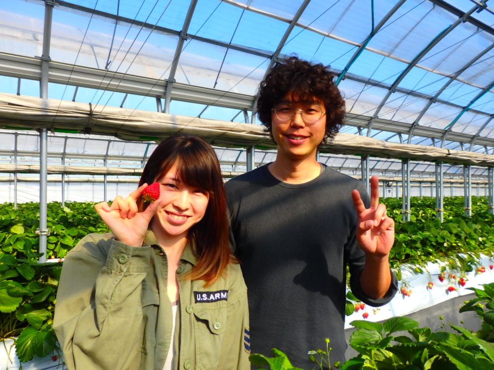 マンモスいちご園の通販 石井 圭祐さん 農家漁師から産地直送の通販 ポケットマルシェ