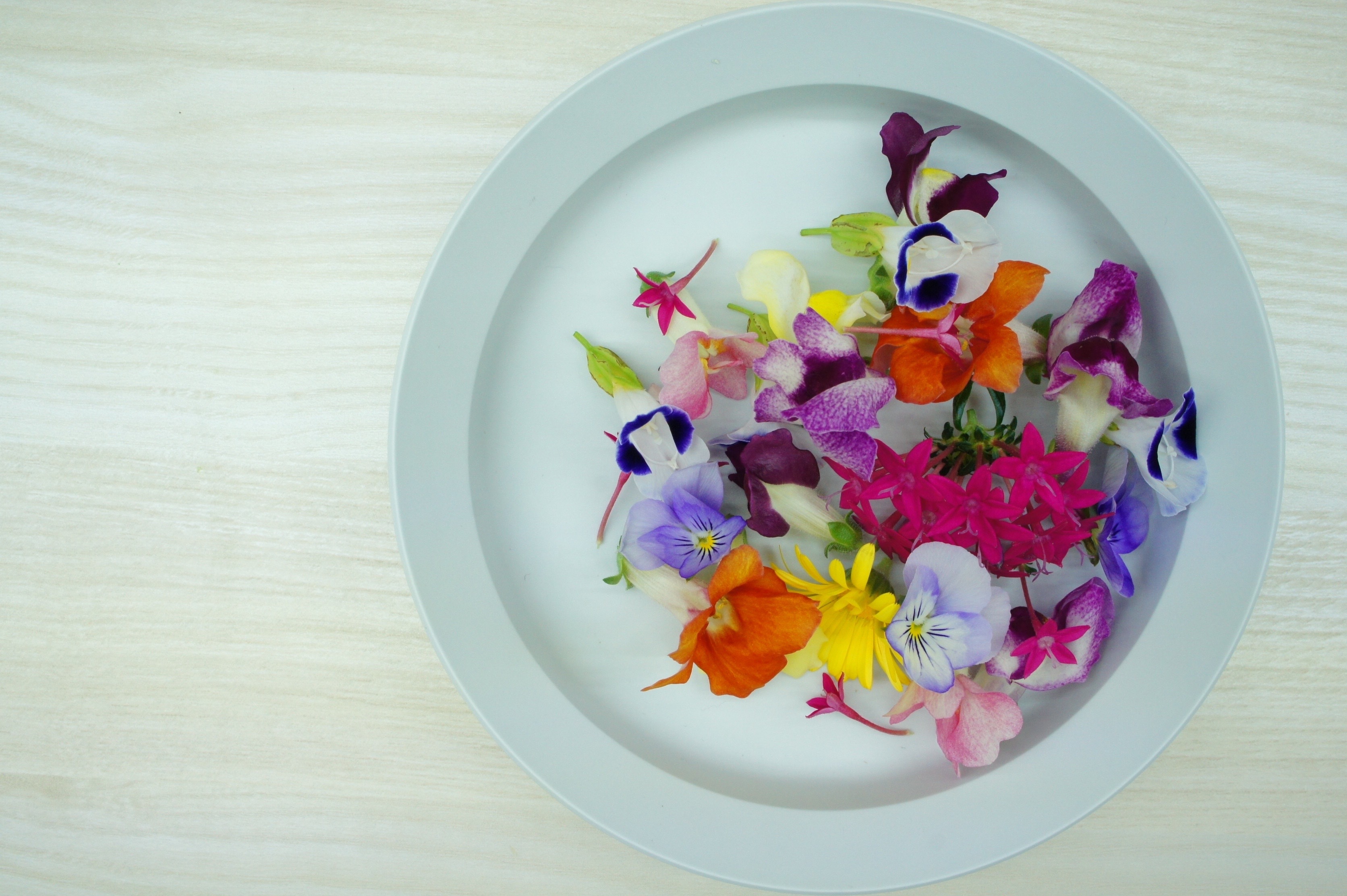 食用花 エディブルフラワー ドライ ドライフラワー ビオラ イエロー 2g デコレーション 食べられる 花 誕生日 プレゼント ギフト 自然 ナチュラル 滋賀県 メール便対応 アイシングクッキー ケーキ