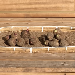 農薬・化学肥料不使用　里芋赤白詰合　箱込２kg(各１kg)