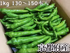 京都府産　特別栽培　伏見とうがらし　1kg