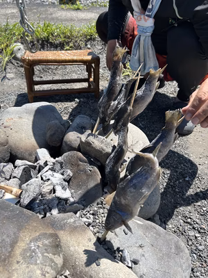 みんなの投稿の画像