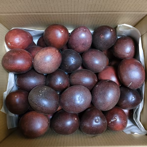 【訳あり品】パッションフルーツ2kg