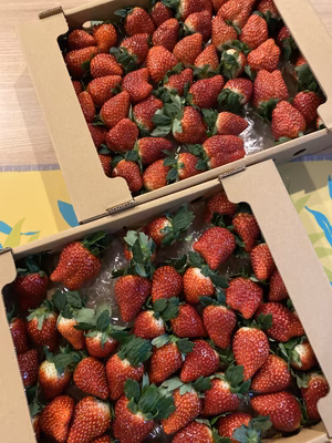 みんなの投稿の画像