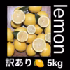スカッとレモン『訳あり』5 kg（箱込）　送料無料