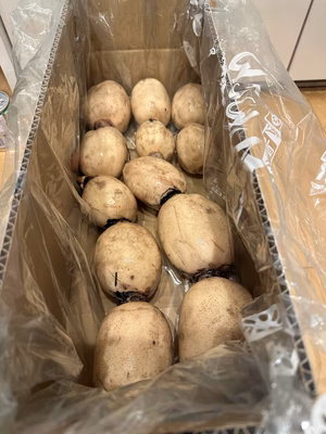 みんなの投稿の画像