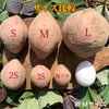 【絶品】種子島産 安納芋 3S&2S 混合サイズ｜aimo農園