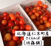 7月上旬発送【クール便】北海道仁木町産さくらんぼ（佐藤錦）