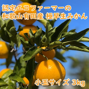 【10/11,12収穫分】和歌山有田産・フレッシュ！ 極早生みかん≪小玉 3㎏≫