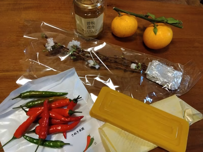 みんなの投稿の画像