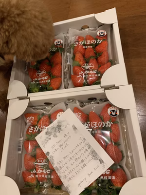 みんなの投稿の画像