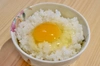 【冷蔵】土佐ジロー卵25ヶ入り