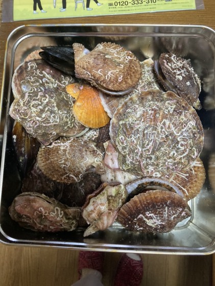 今だけ増量 産地の鮮度をそのままに 刺身で食べる春ニシン 刺身用 急速冷凍 農家漁師から産地直送の通販 ポケットマルシェ