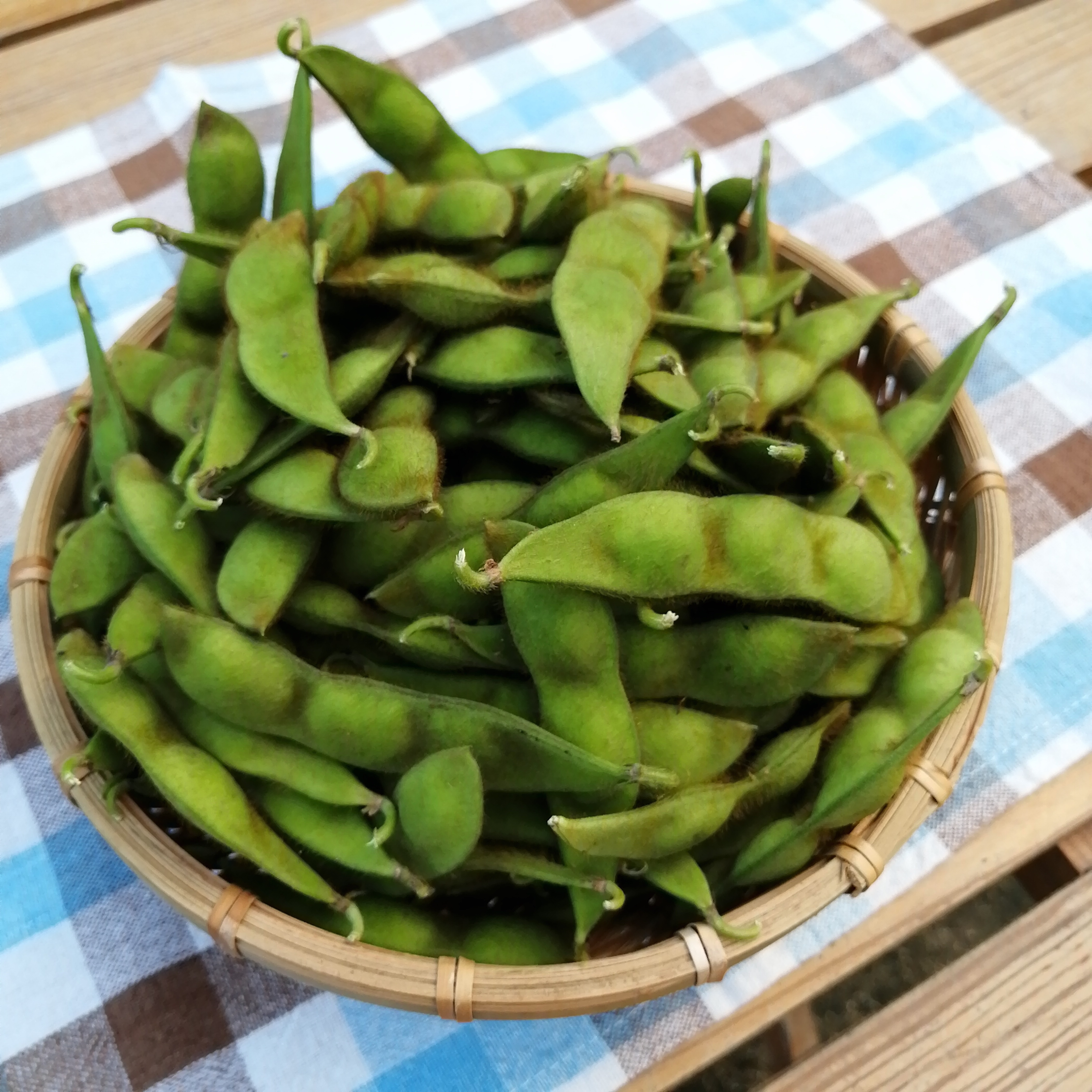 期間限定！大きくて甘い黒大豆の枝豆｜野菜の商品詳細｜ポケット