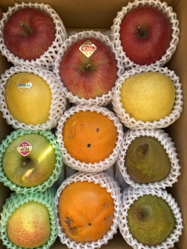 旬の果物詰合せ 約3kg 信州りんご、甘柿、ラフランス