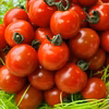 【応援商品】有機肥料で作った糖度約8%・幻のミニトマト