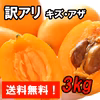 送料無料『訳アリ 房州びわ/枇杷 3kg キズ・アザあり』家庭・加工用 南房総市
