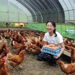 発酵ベッドでホカホカしあわせ鶏の平飼有精卵20個「ほんまの卵」クール便