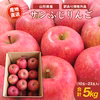 【送料無料】訳あり規格外 山形県産 サンふじ りんご 5kg (10～20玉入）