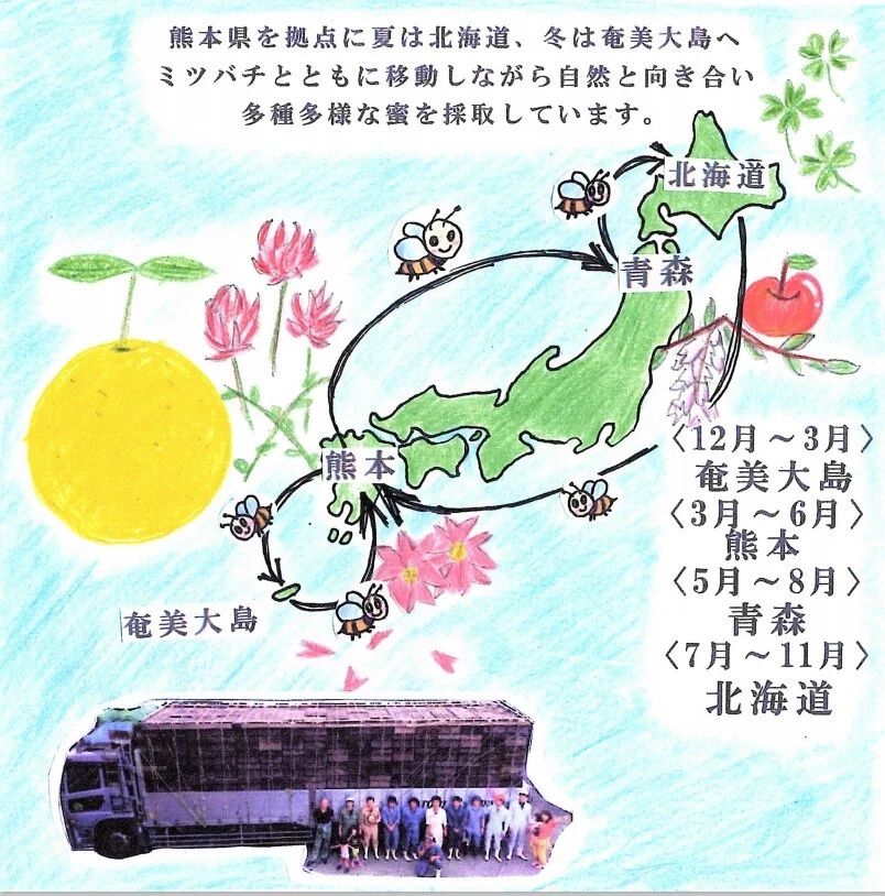 国産純粋あかしあ蜂蜜  500gポリチューブ