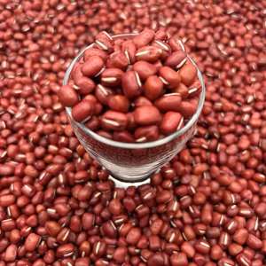 丹波市大納言小豆　自然乾燥　手選別