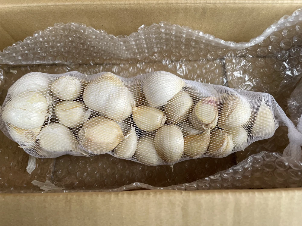 【訳あり品】青森県産ニンニク バラ500グラム