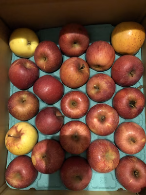 みんなの投稿の画像