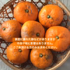 【福袋2026】ご家庭用向きの温州みかん【農薬不使用】