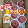 初物◆蜜入ふじりんご＆ジュース(3kg箱)