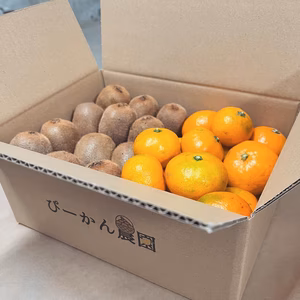 一つで二度おいしい！みかん・キウイ詰め合わせセット★