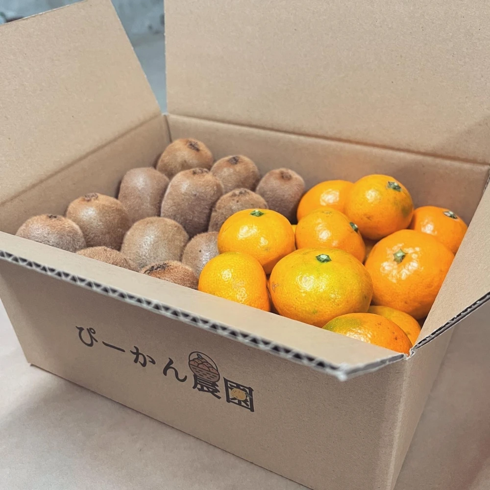 シーズン最終！★早生みかん・キウイ詰め合わせセット★