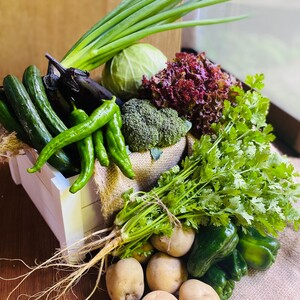 京都からパクチー1品+旬の野菜を詰め合わせ野菜セット　