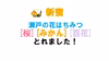 2024新蜜「瀬戸の花はちみつ・桜/みかん/百花」