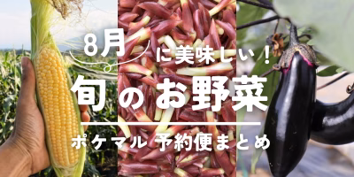 8月に美味しい旬の野菜（とうもろこし・なす・みょうがなど）予約・購入も